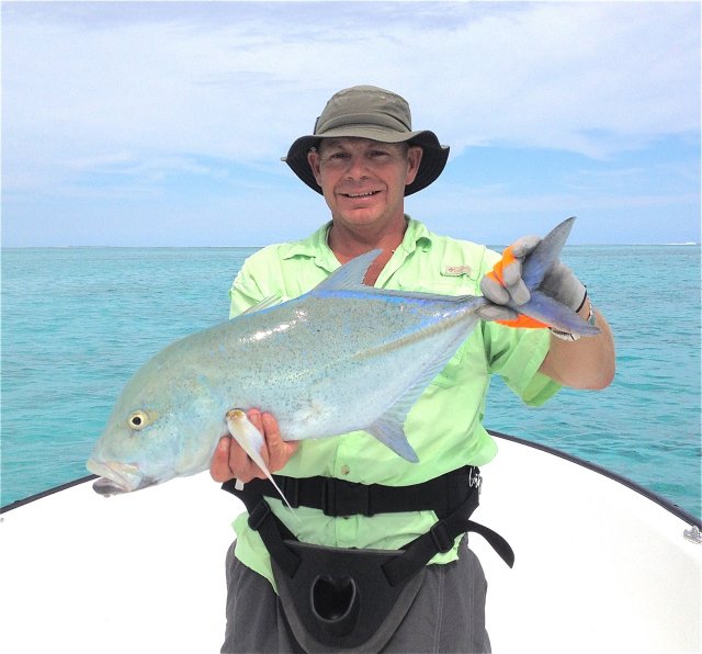 New Caledonia Bluefin trevally