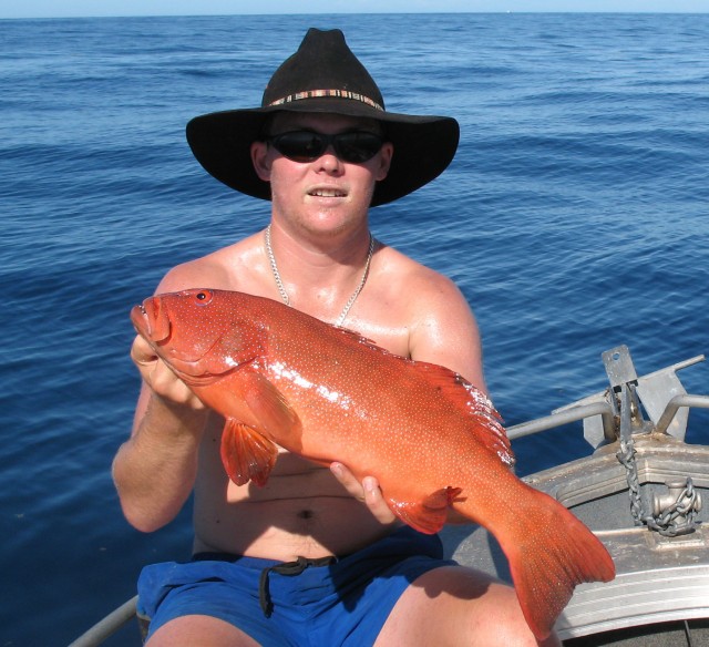 Nice Coral Trout