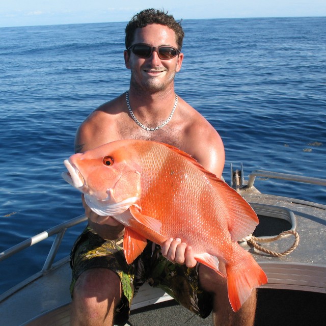 Potsys First Red Potsys First Red