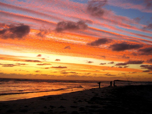 wedge at night fall wedge at night fall