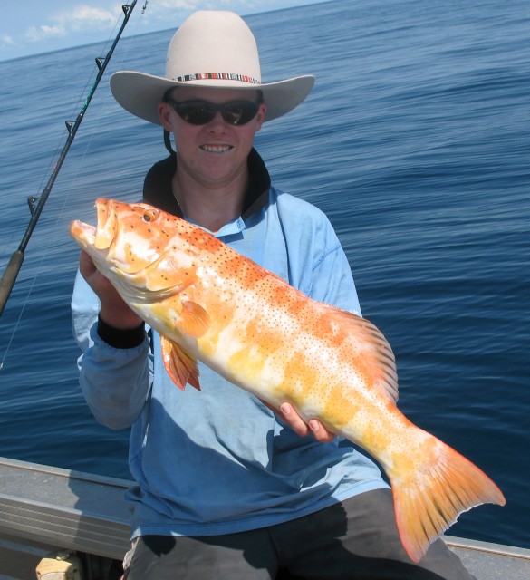 Hedland BarCheek Coral Trout Fishing Fishing WA. Fishing Photos & Videos