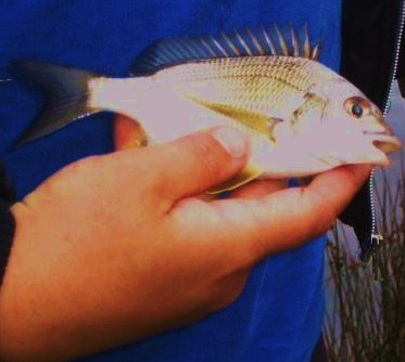 modified photo modified photo