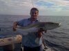 Nice sized Cobia on Plastic