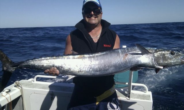 Weekend Metro WAHOO Weekend Metro WAHOO