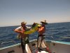 Another happy customer with a Dolphin Fish (Mahi Mahi) aboard the Mahi Mahi 11