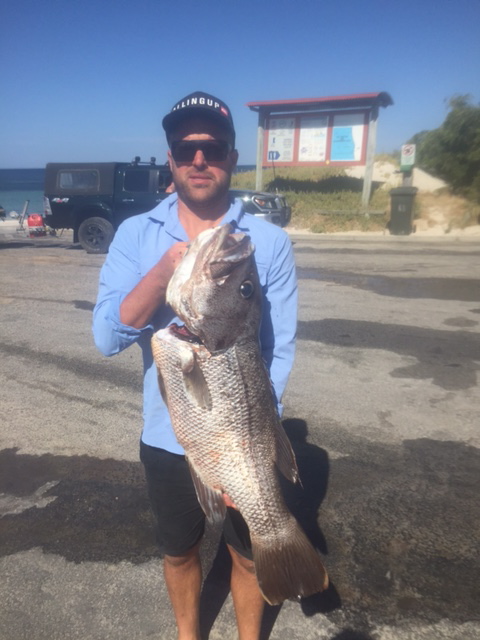 FIrst dhufish of the season FIrst dhufish of the season