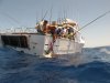 Billfish along side boat