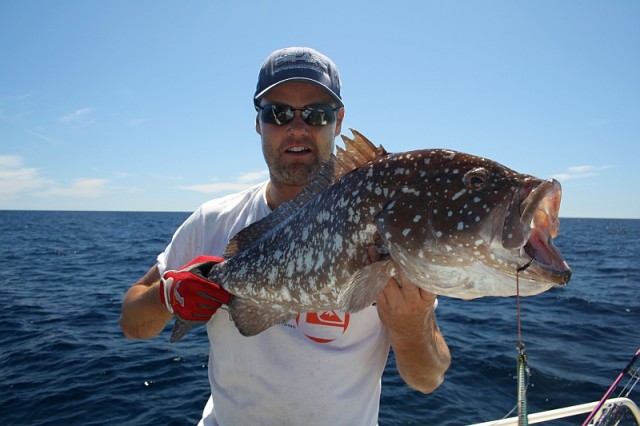 Glenns jigged Rankin Glenns jigged Rankin