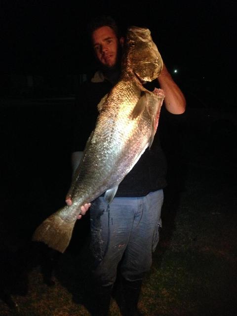 Solo Mulloway