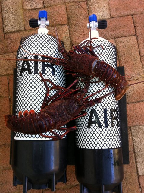 for the album for the album