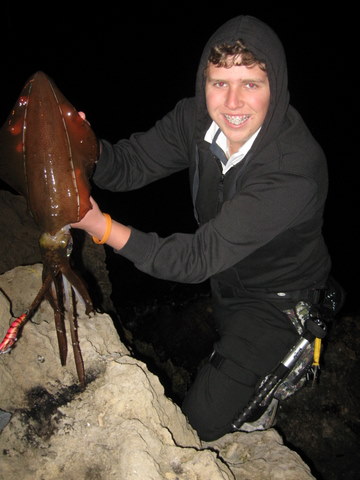 PB squid