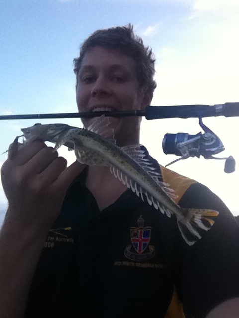 pup from this avo pup from this avo