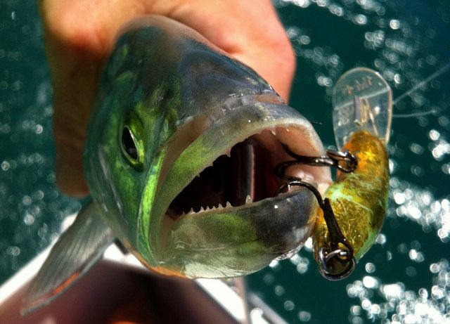 interesting photo interesting photo