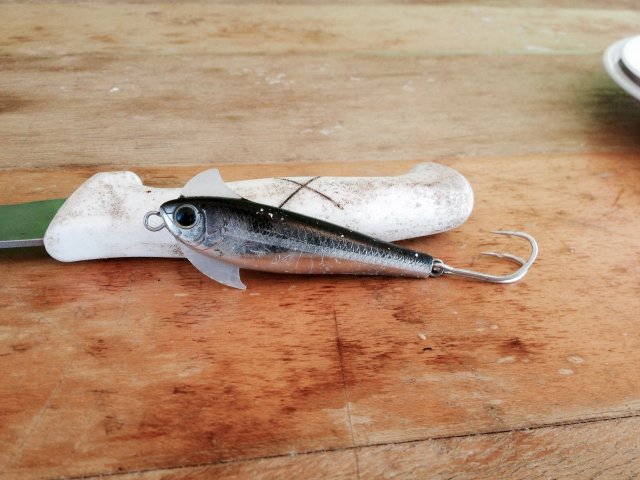 Ever Faithful Trout busting Wax Wing Ever Faithful Trout busting Wax Wing