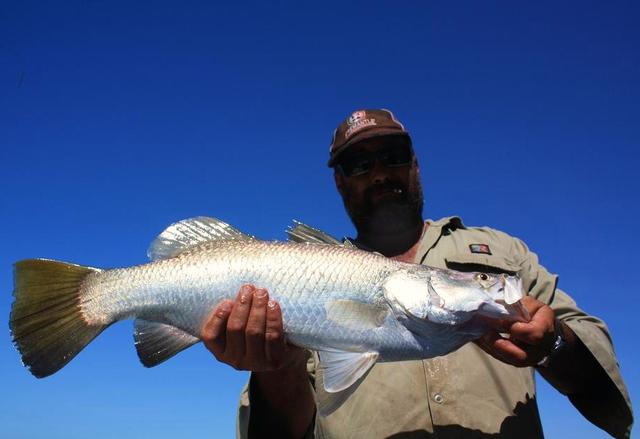 Daisy's 63cm barra, released