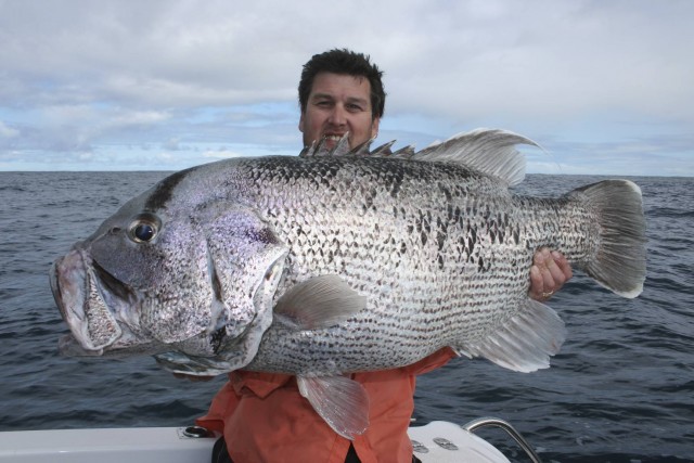 same fish 20kg 2rks same fish 20kg 2rks