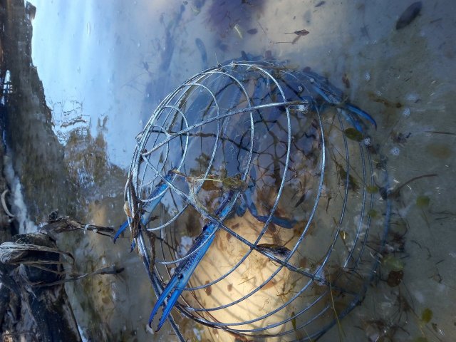 Live bait tank Live bait tank