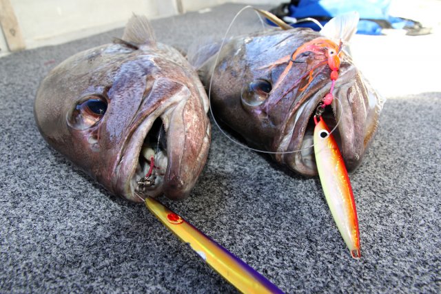 Dhuie brothers love the jigs