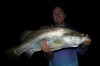 respectable Pilbara Fish