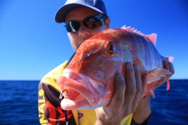 chinaman on jig chinaman on jig