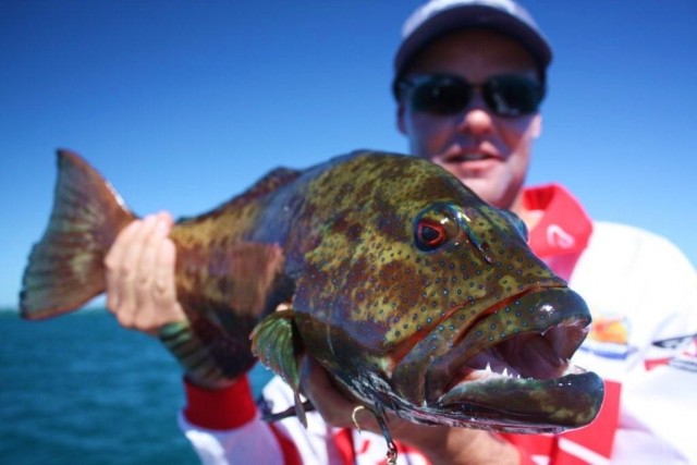 nice trout nice trout