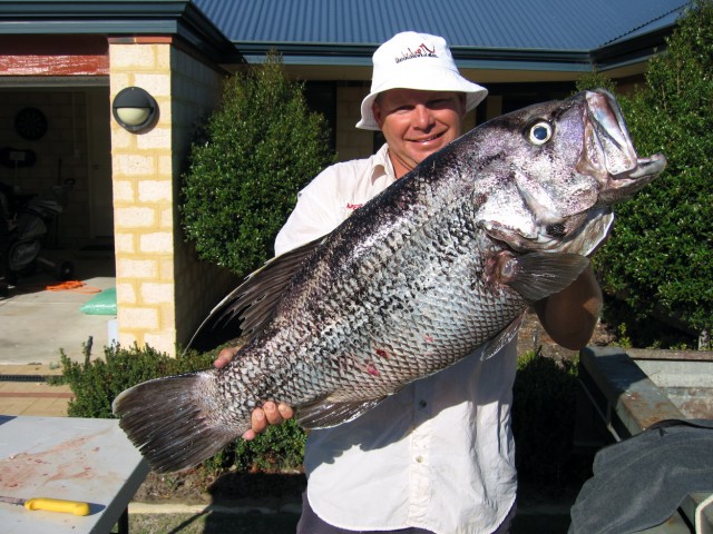 14kg Dhuie