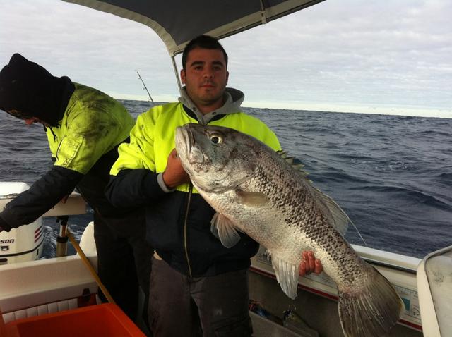 big dhu fish big dhu fish