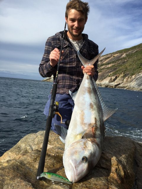 Albany Landbased Sambo spinning Albany Landbased Sambo spinning