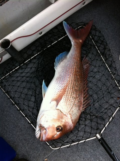 friday morning red friday morning red