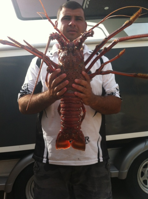 cray fish cray fish