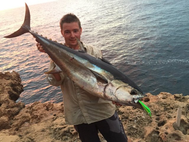 About bloody time i can tick off a proper tuna from my list!!