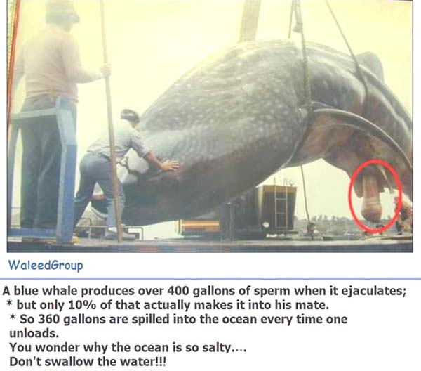Think about this next time you get saltwater in ya mouth! Think about this next time you get saltwater in ya mouth!