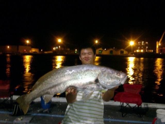 better pic of the mulloway