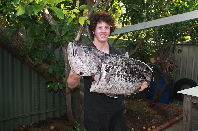 No crays but some nice fillets.