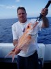 pb red snapper
