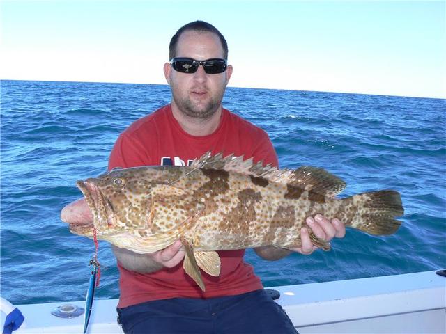 Cod on Jig Cod on Jig