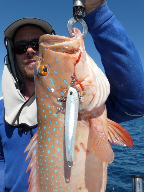 Jamie's Jigged Coral Trout