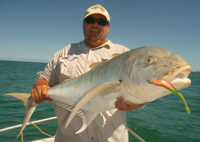 Golden Trevally