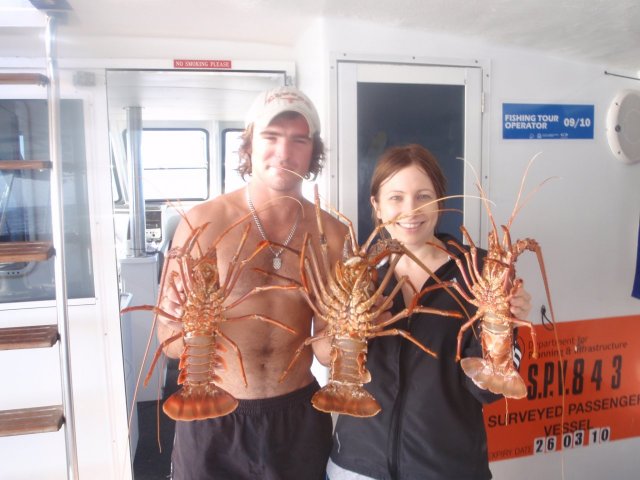abrolhos crays from the pot
