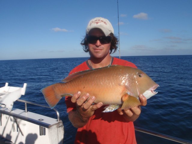 abrolhos- another baldy 4lb bream gear