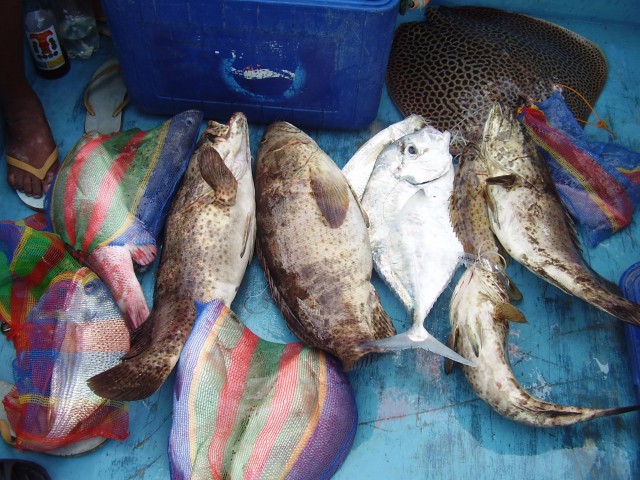 Another good day of fishing............