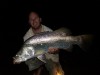 biggest of the boxing day bazzas, 95cm and released