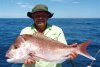 Pink Snapper