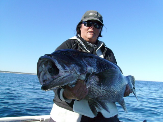 15kg dhuie 15kg dhuie