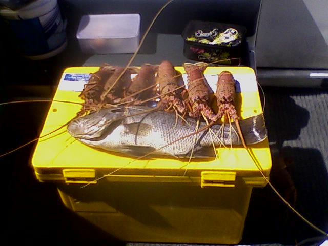 Xmas lunch Xmas lunch