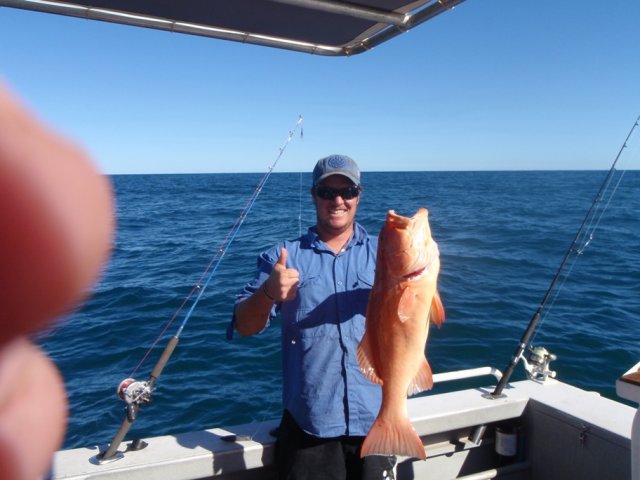 Dampier Trout Dampier Trout