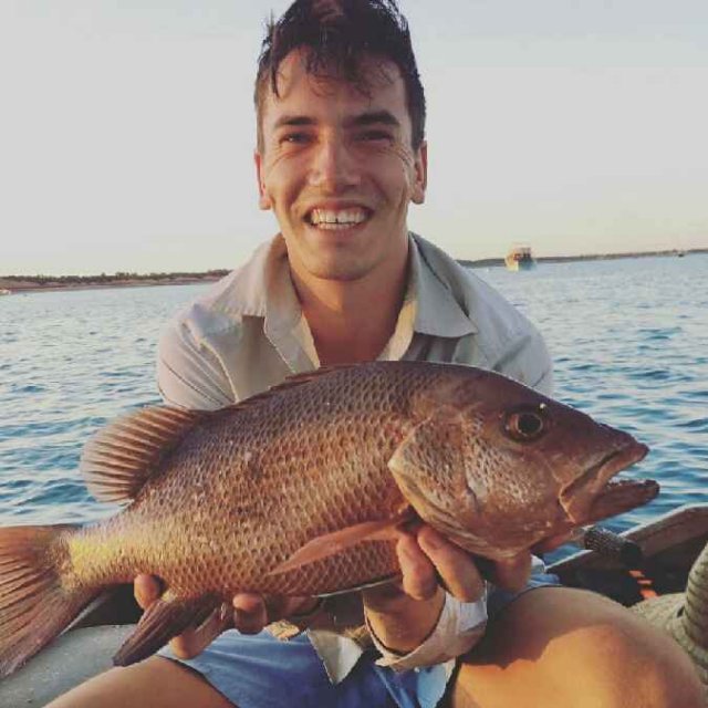 Pb jack Pb jack