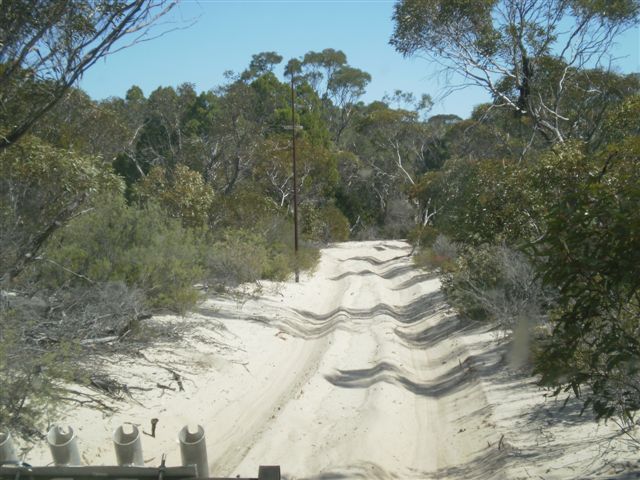 Cocklebiddy cliffs 2010 Cocklebiddy cliffs 2010