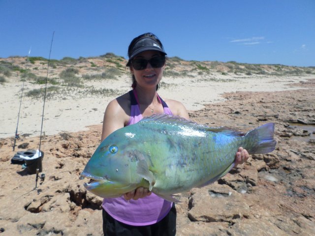 Pic of the Month Exmouth Bluebone