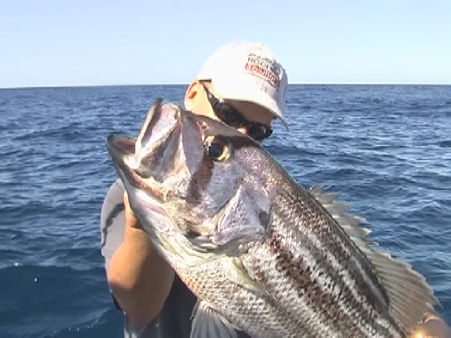 Pete's Dhuie 28/10/06 Pete's Dhuie 28/10/06